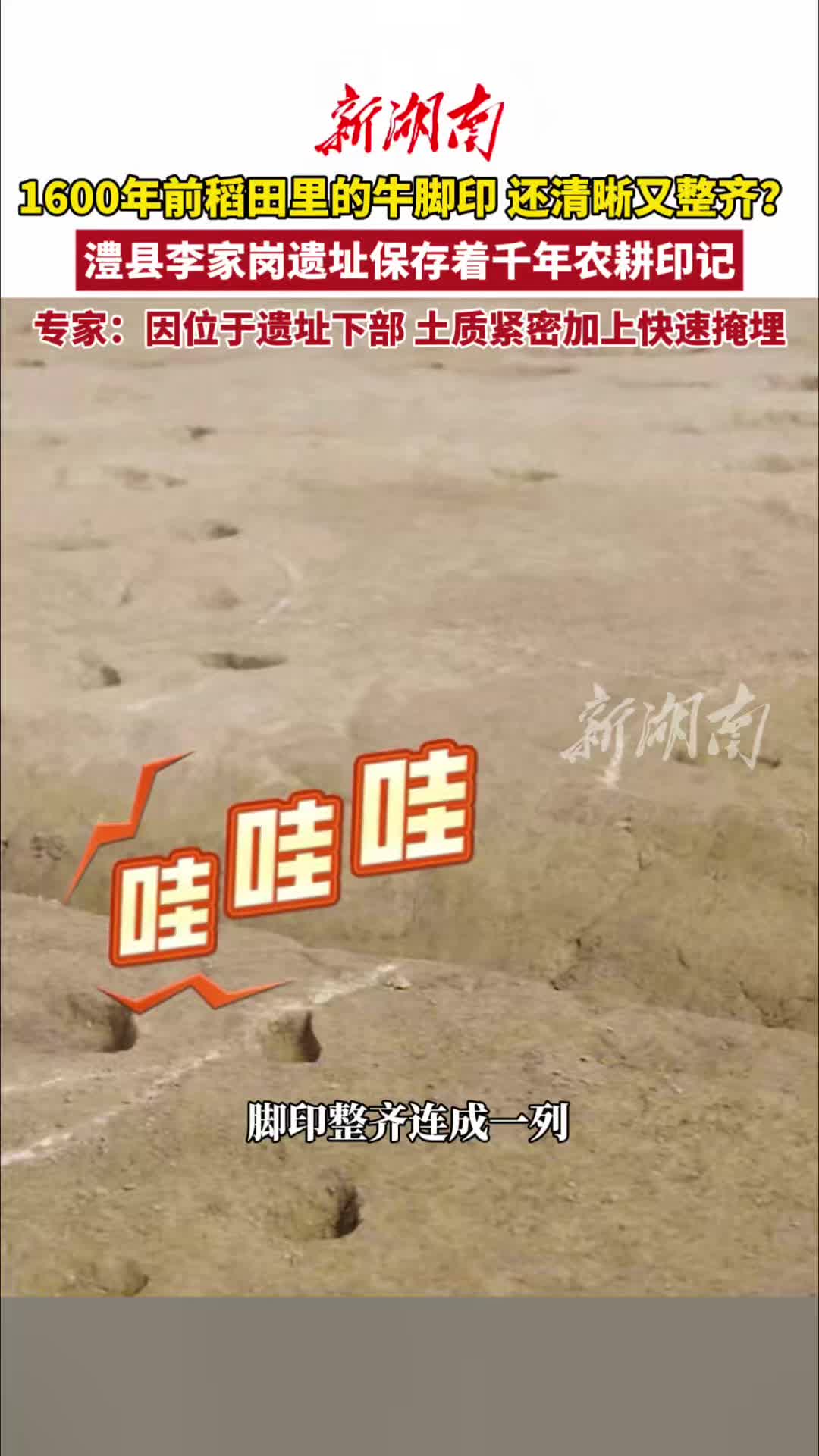 这是真牛！一脚下去脚印1000多年没消|文脉千秋·古城寻根