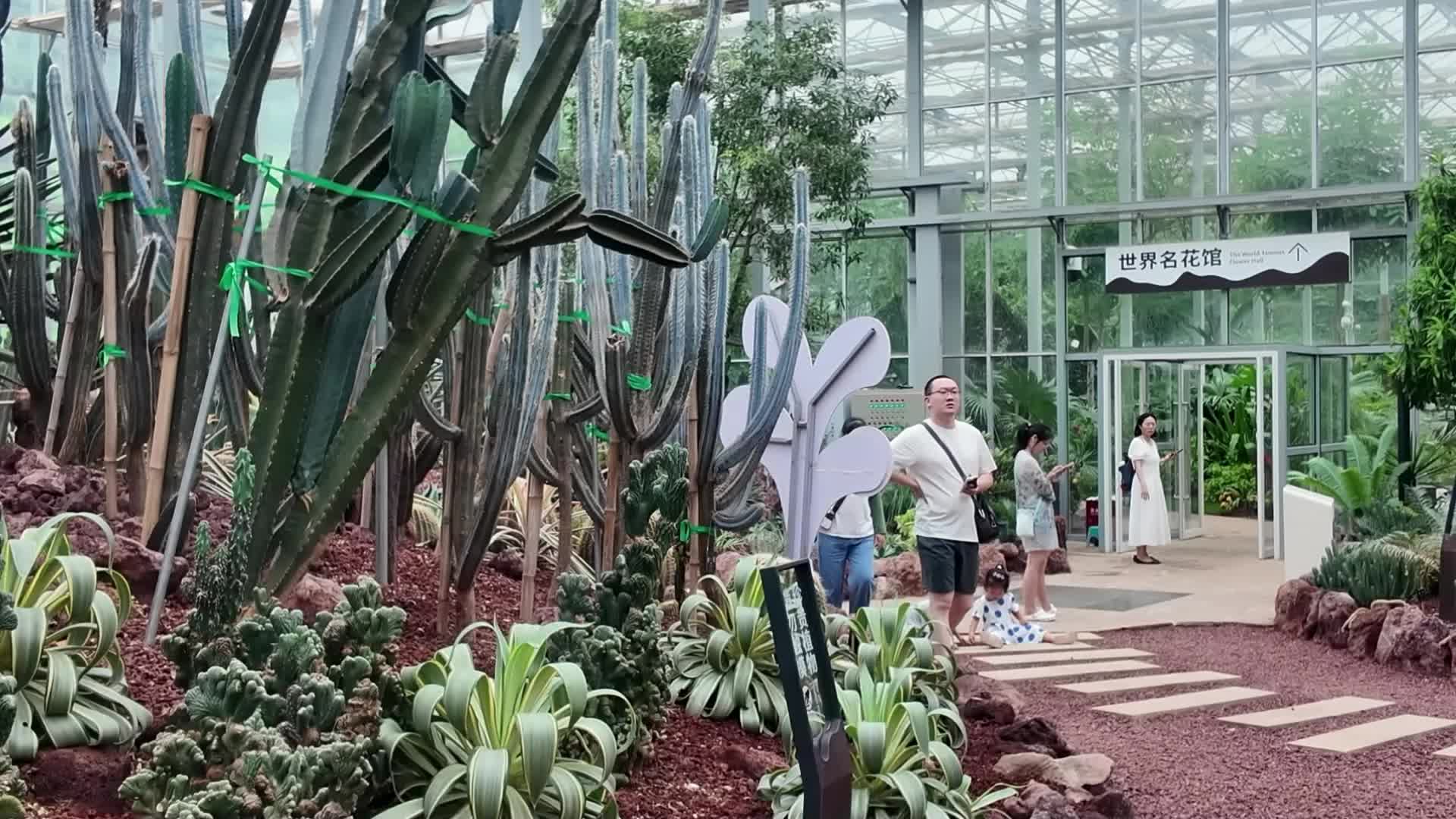 探寻藏在城市里的植物秘境