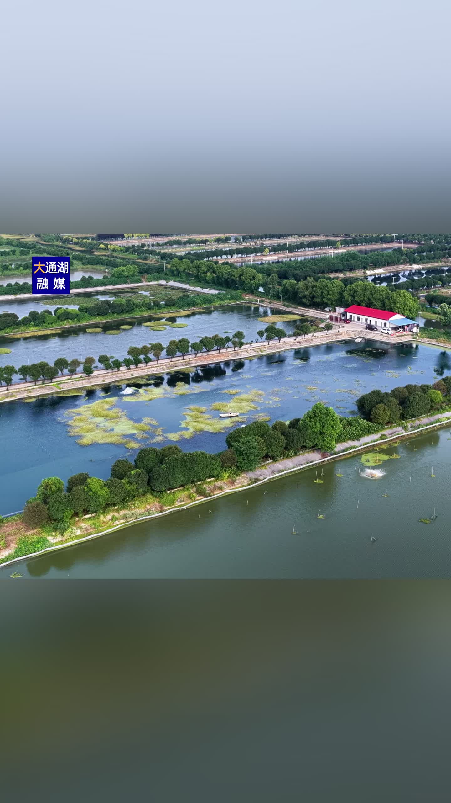 大通湖区｜首批“六月黄”新鲜上市，快来品夏日“第一口”湖鲜