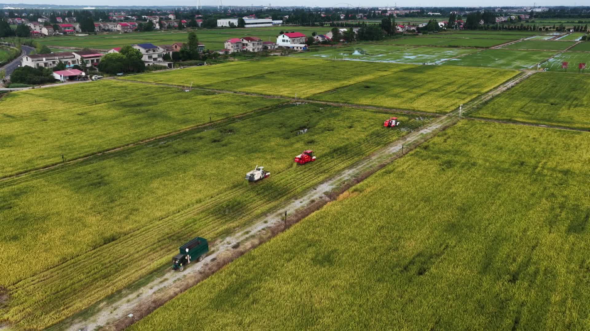 沅江市 | 科技赋能“双抢”，24.85万亩早稻已归仓，20.54万亩晚稻已移栽