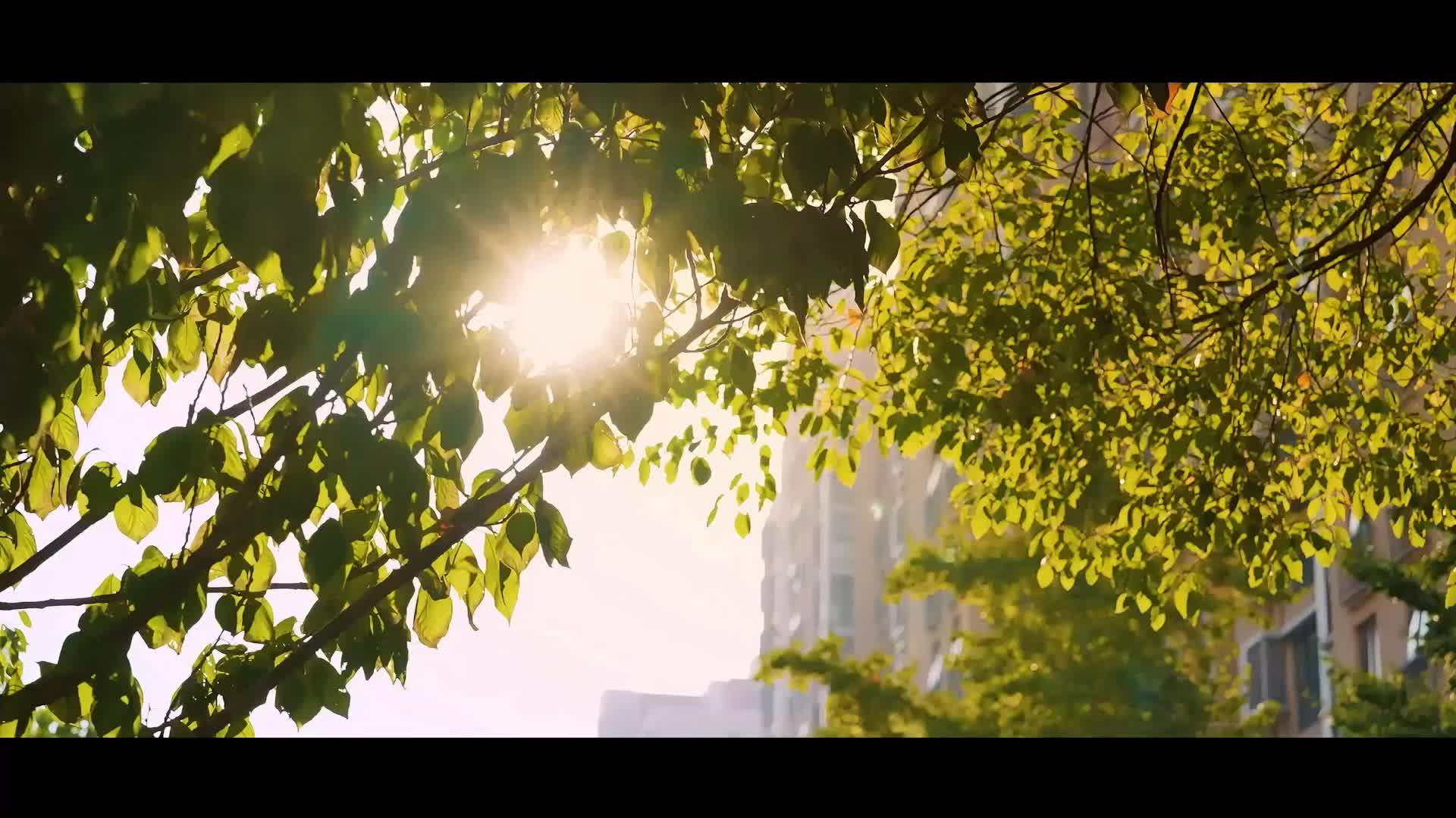 涵哥话消防：保持畅通