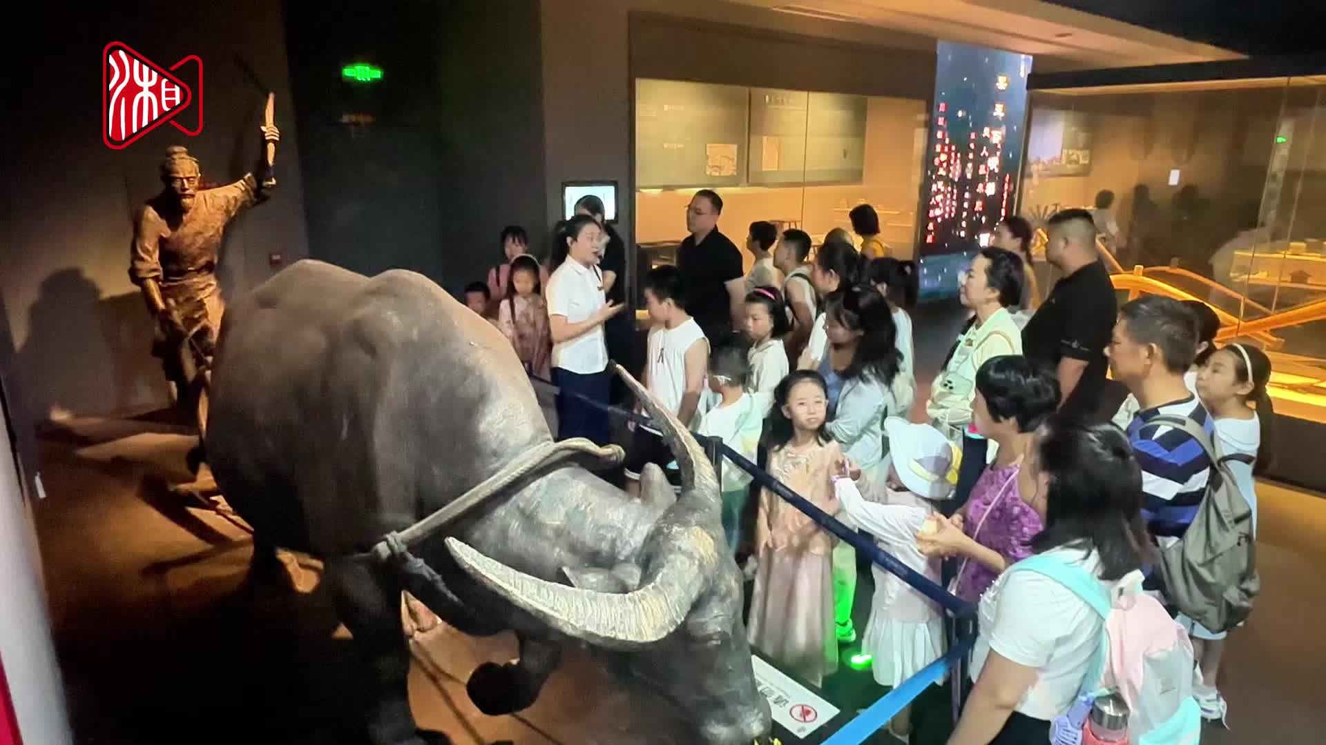 感悟“种子”力量