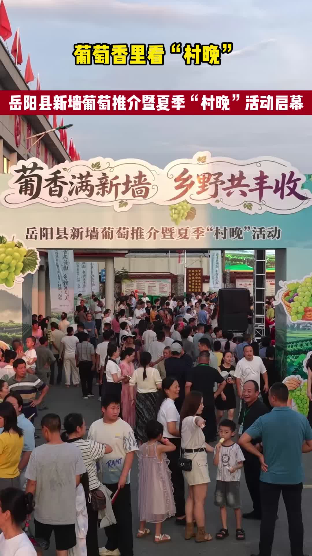 藤蔓上的丰收——岳阳县新墙镇清水村葡萄产业侧记