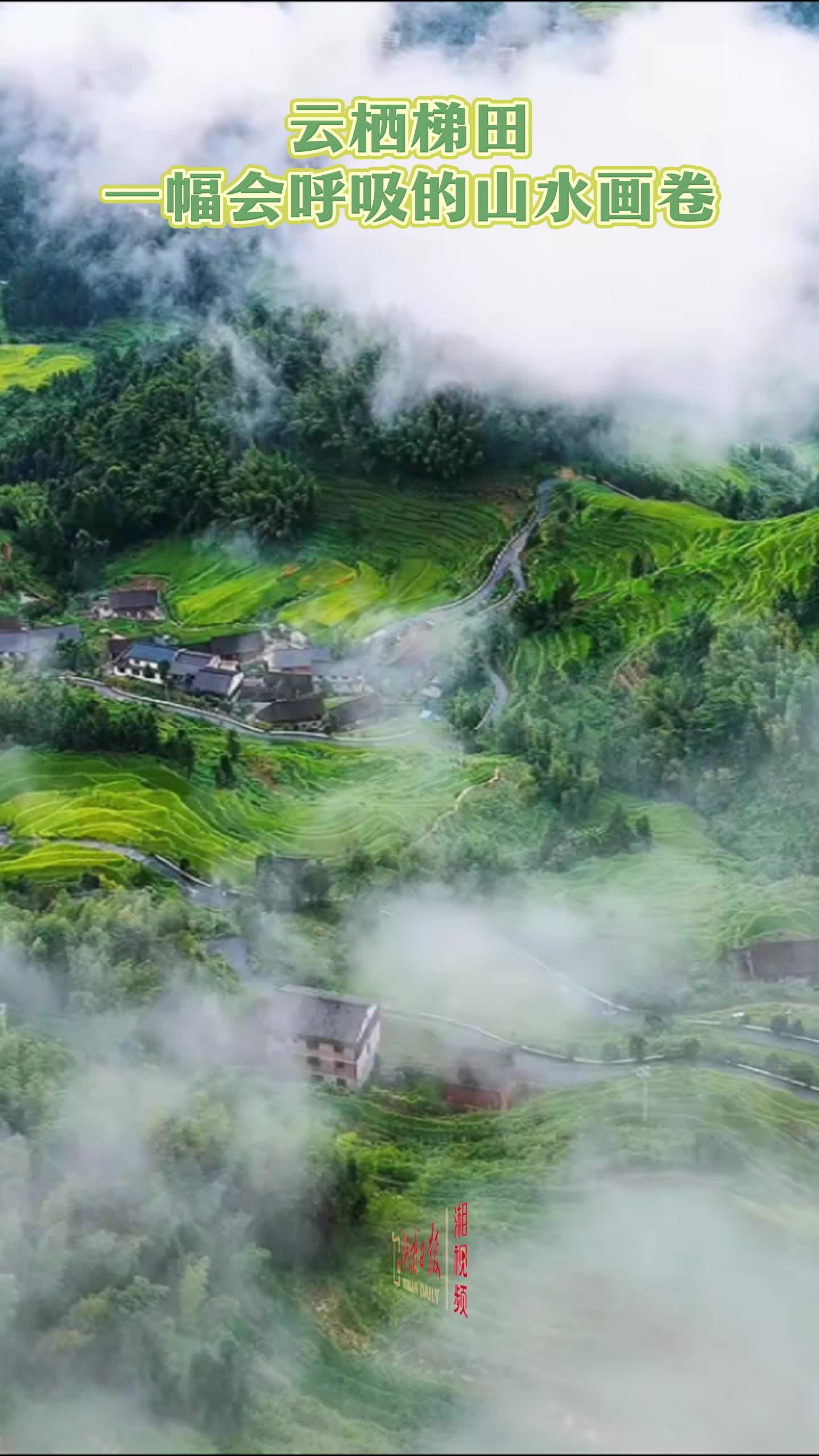 云栖梯田，一幅会呼吸的山水画卷