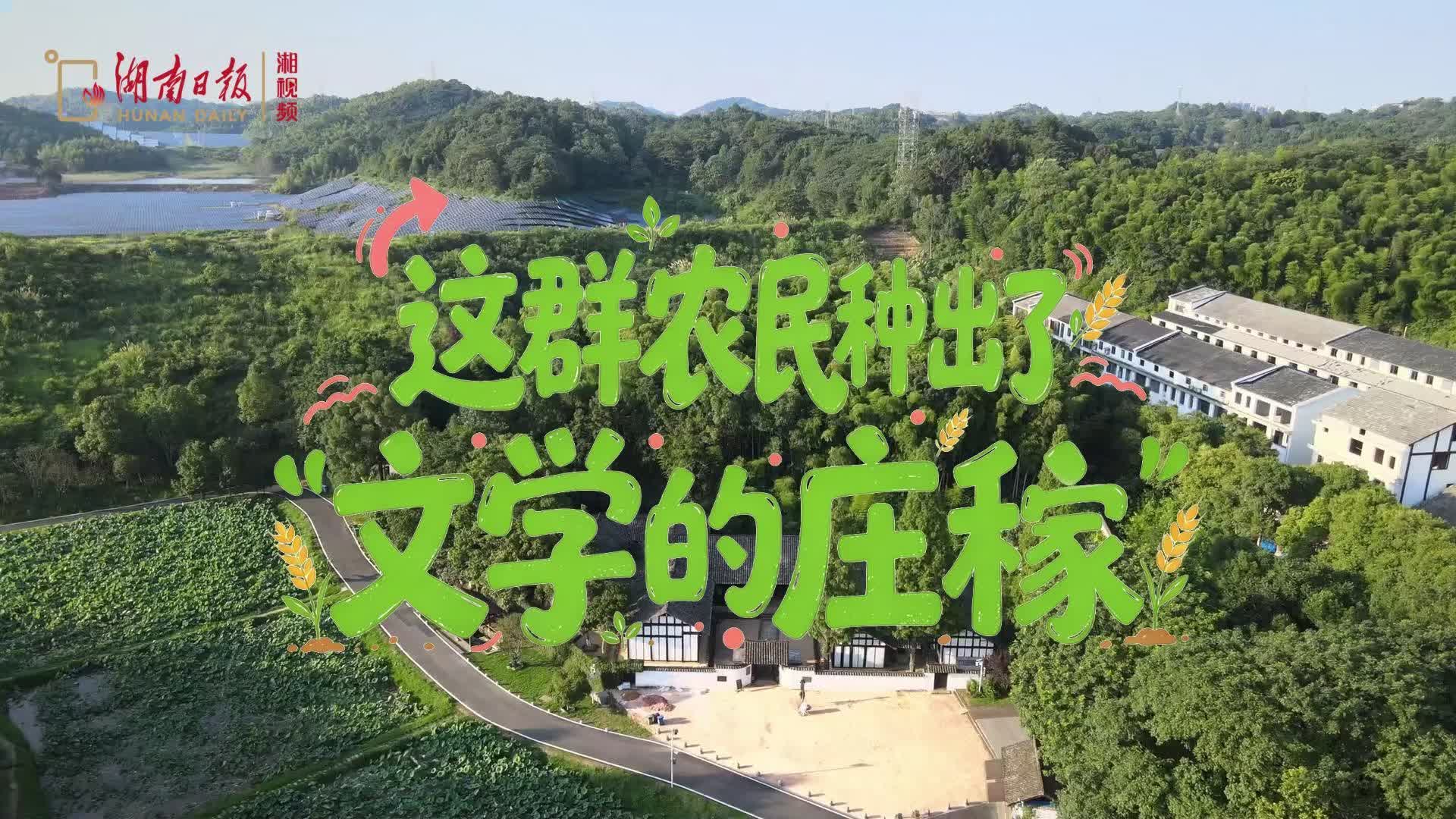 新大众文艺看湖南丨益阳清溪村：种地的人，开始种文学了