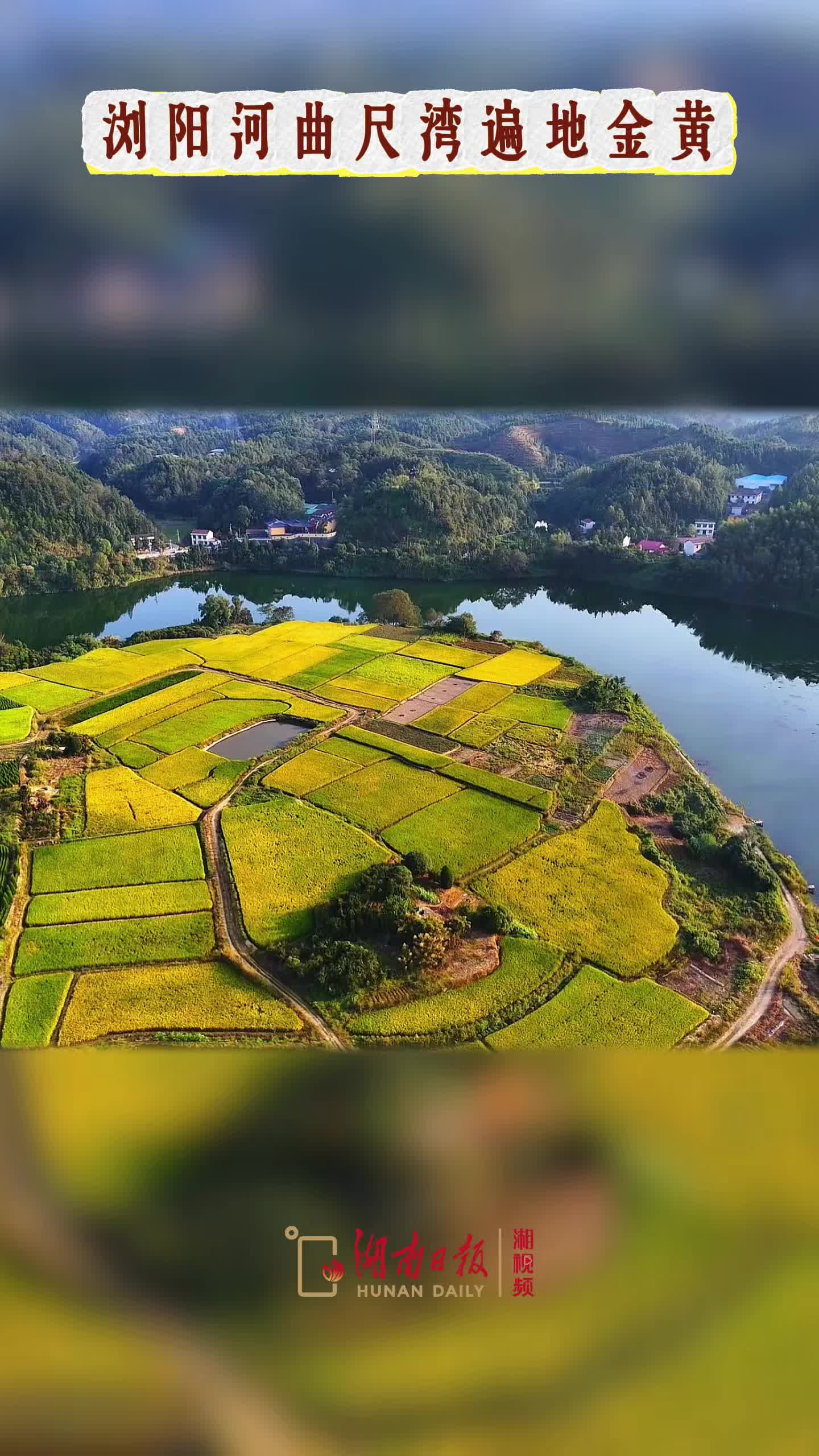 浏阳河曲尺湾丰收时节美如画