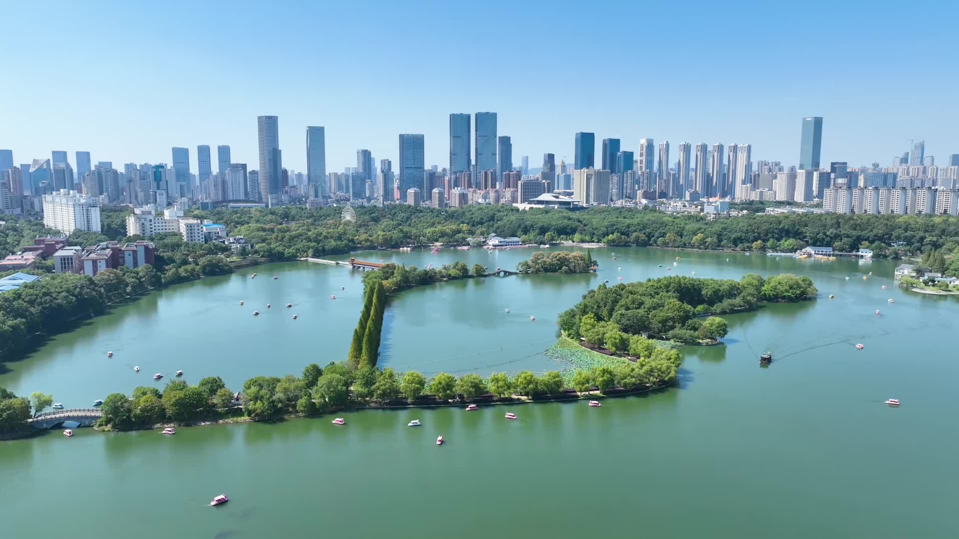 泛舟赏景，在年嘉湖邂逅好时光