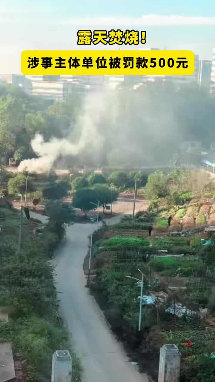 露天焚烧，罚款500元