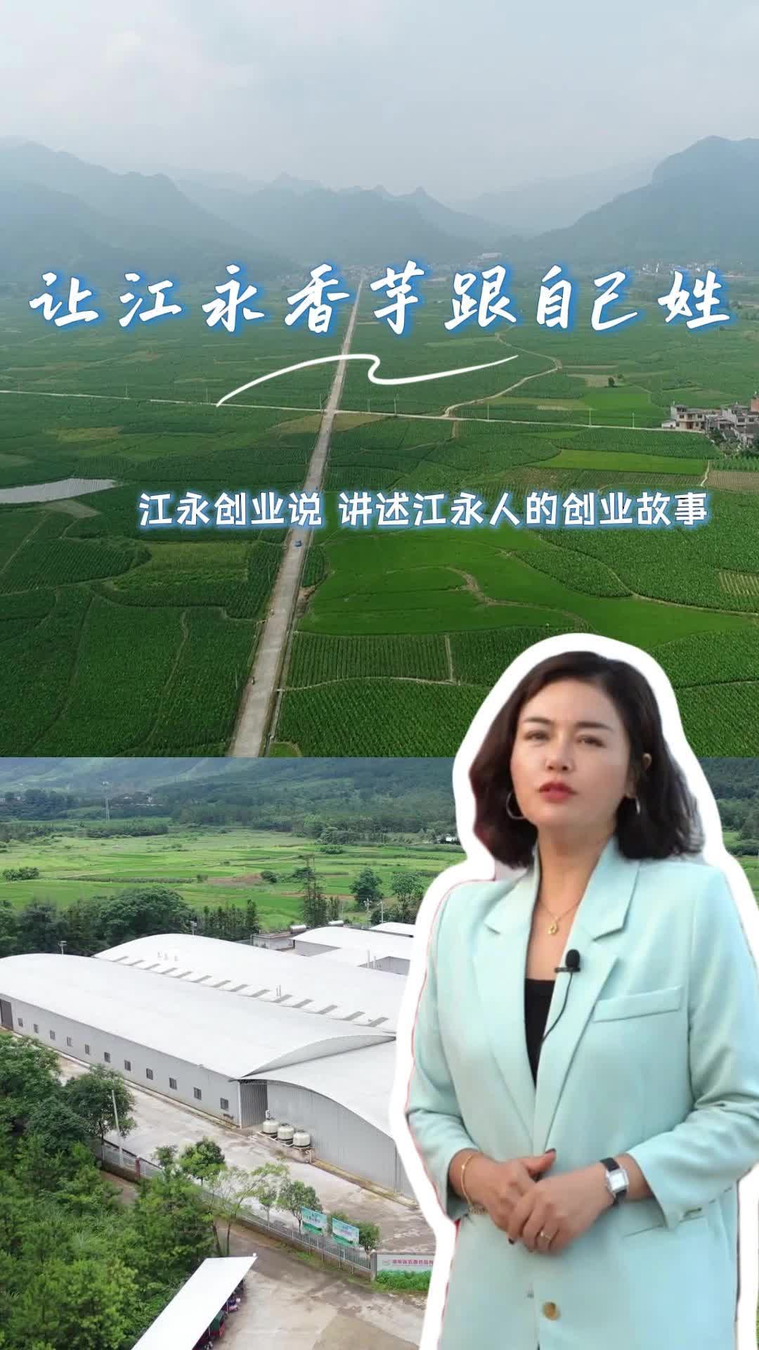 何容：让江永香芋“跟自己姓”