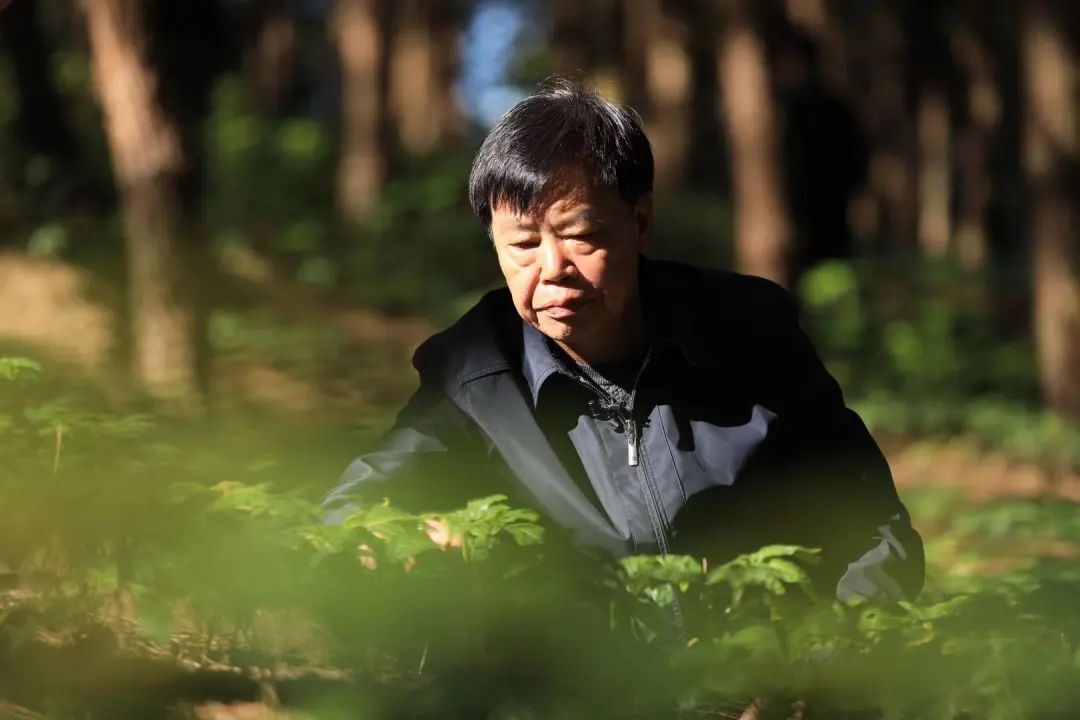 云南农大招生减章火了名誉校长朱有勇的故事更戳人心