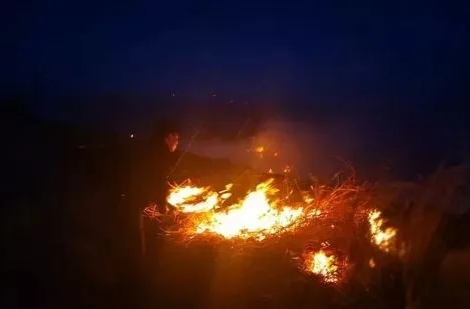 重庆多地发生火情 暂无人员伤亡