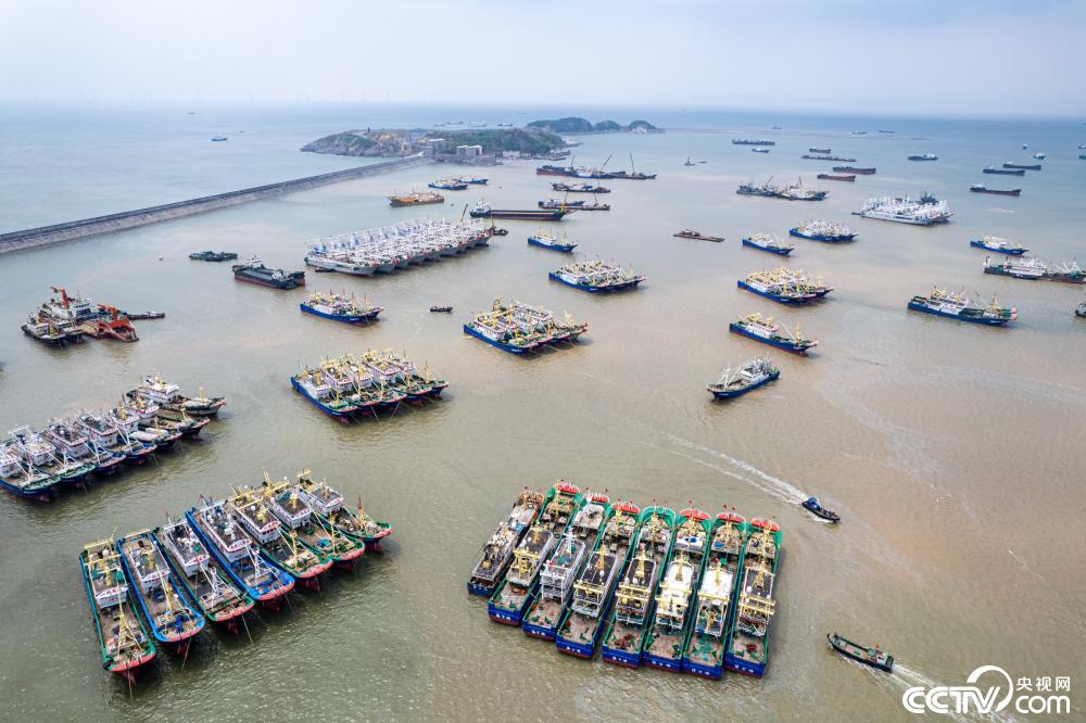 台风轩岚诺逼近浙江温岭大批渔船归港避风