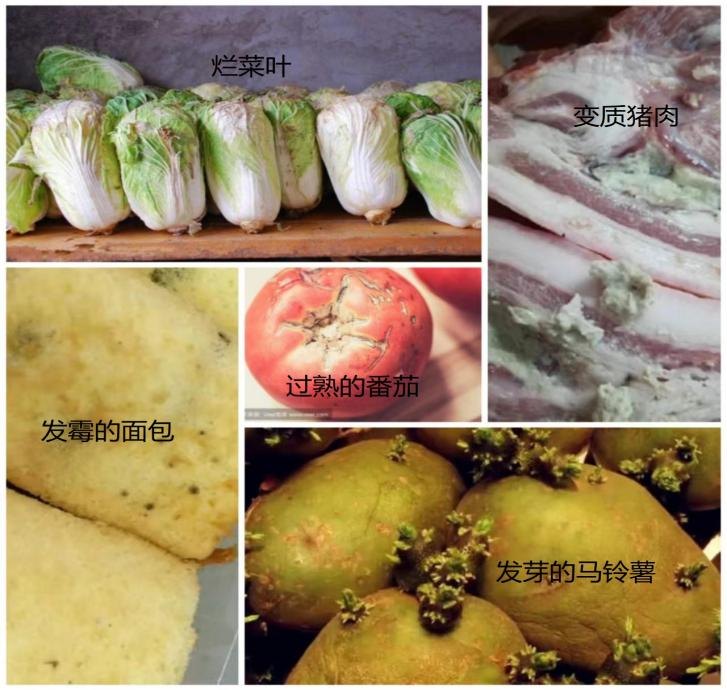 省疾控专家倡导就地过节，食品安全牢记“十要十不要”