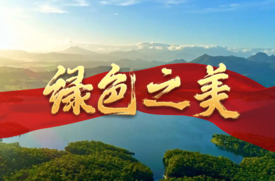 大型政论片《我们的新时代》第五集《绿色之美》