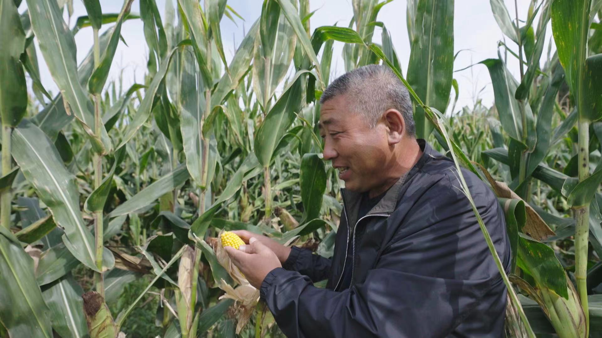 思想的力量丨八里庙村的共富路