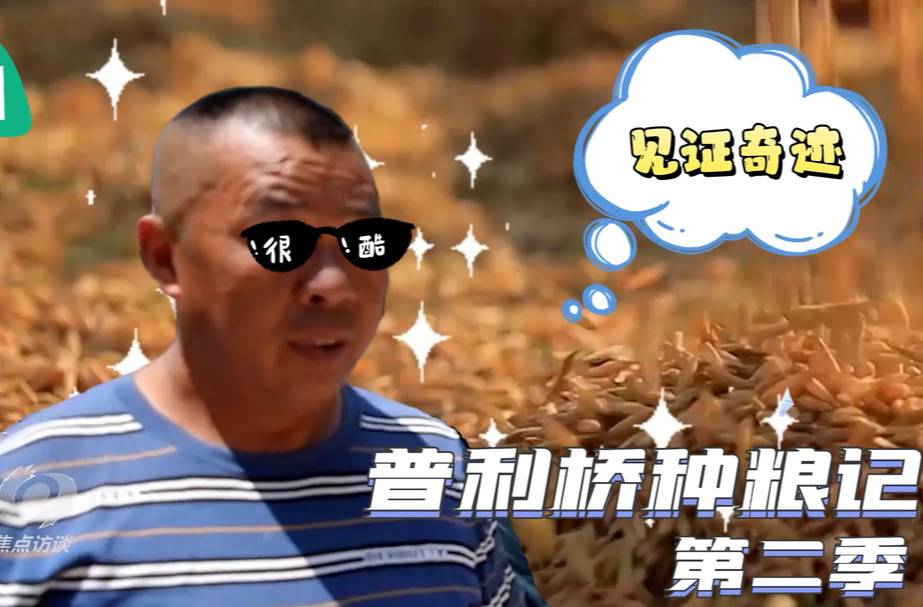 普利橋種糧記第二季丨開鐮啦！不施肥、不打藥 畝產(chǎn)能有多少？