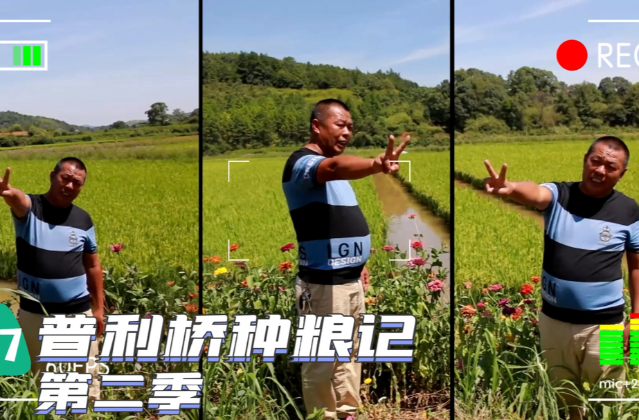 普利橋種糧記第二季丨你以為直播帶貨是那樣的，其實(shí)是這樣的……