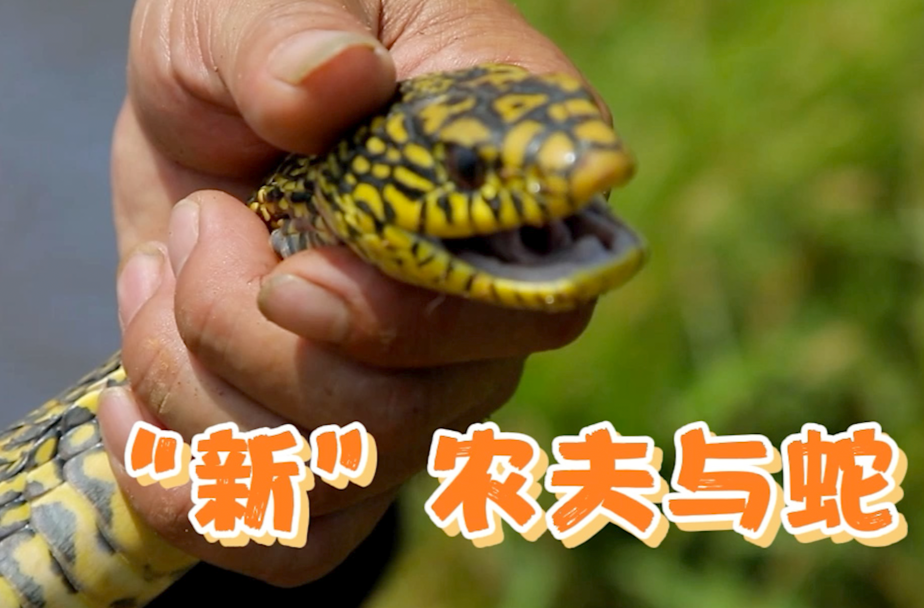 普利橋種糧記第二季丨種生態(tài)田，到底有多難？看了TA們，我明白了～