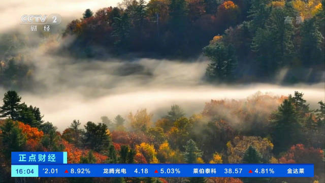 美到了！多地开启秋天专属渐变色