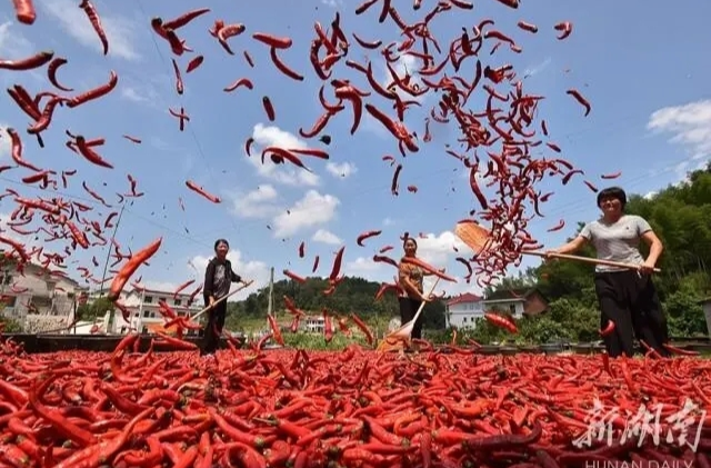 研究发现：吃辣竟有这么多好处，这6条你肯定不知道！