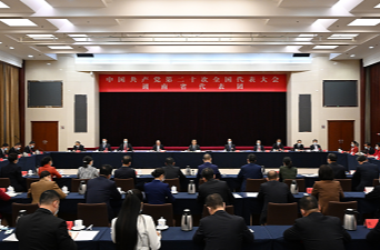 湖南代表团举行全体会议 张庆伟主持并讲话