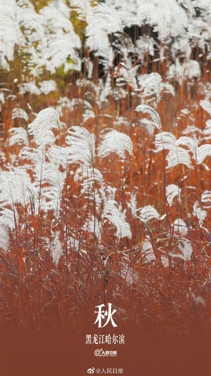季节限定！用九宫格打开秋天的渐变色
