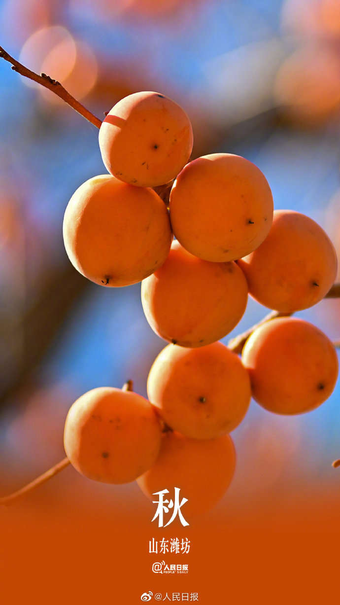 季节限定！用九宫格打开秋天的渐变色