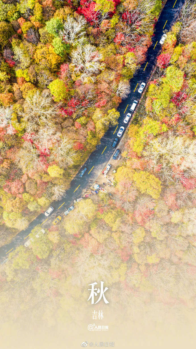 季节限定！用九宫格打开秋天的渐变色