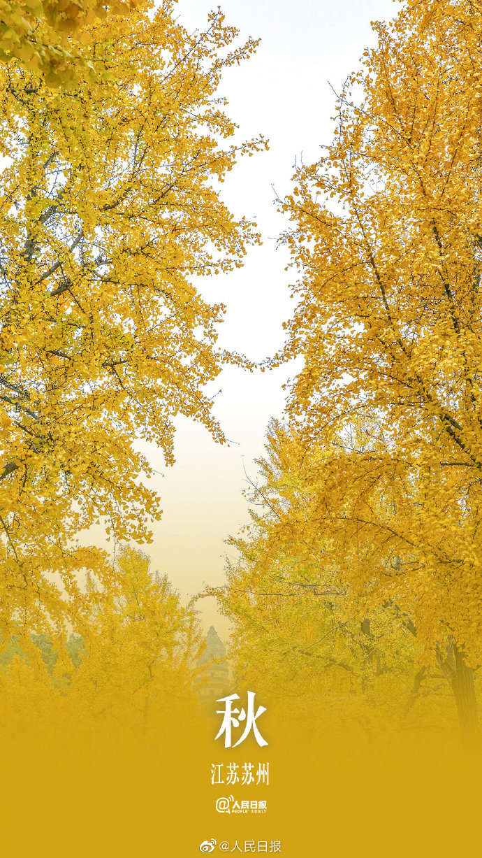 季节限定！用九宫格打开秋天的渐变色