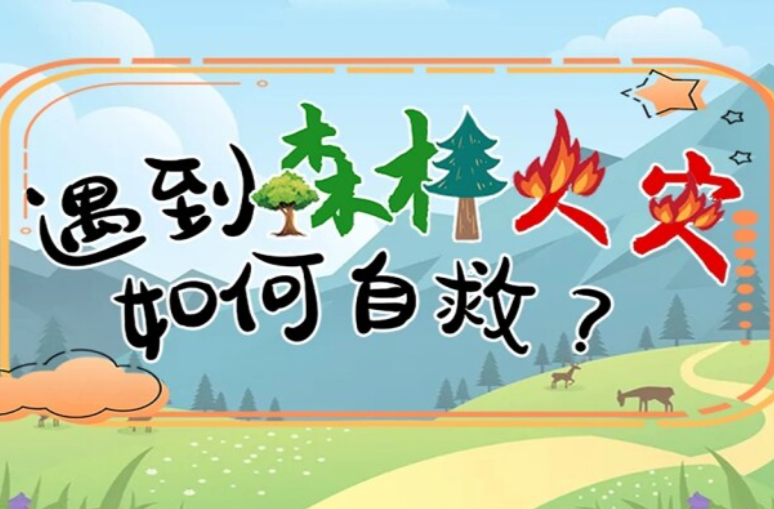 遇到森林火灾怎么办？一图教你正确报警逃生
