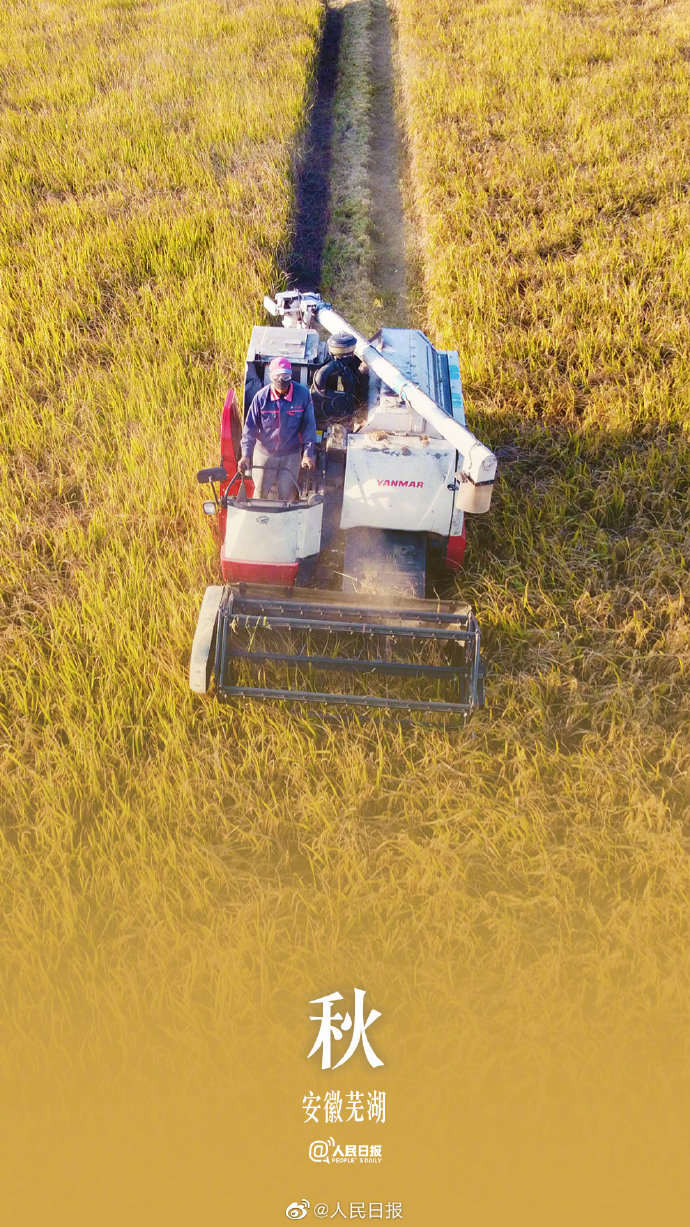 季节限定！用九宫格打开秋天的渐变色