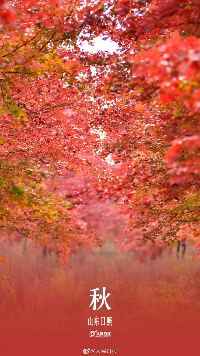 季节限定！用九宫格打开秋天的渐变色
