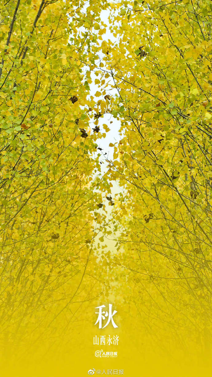 季节限定！用九宫格打开秋天的渐变色