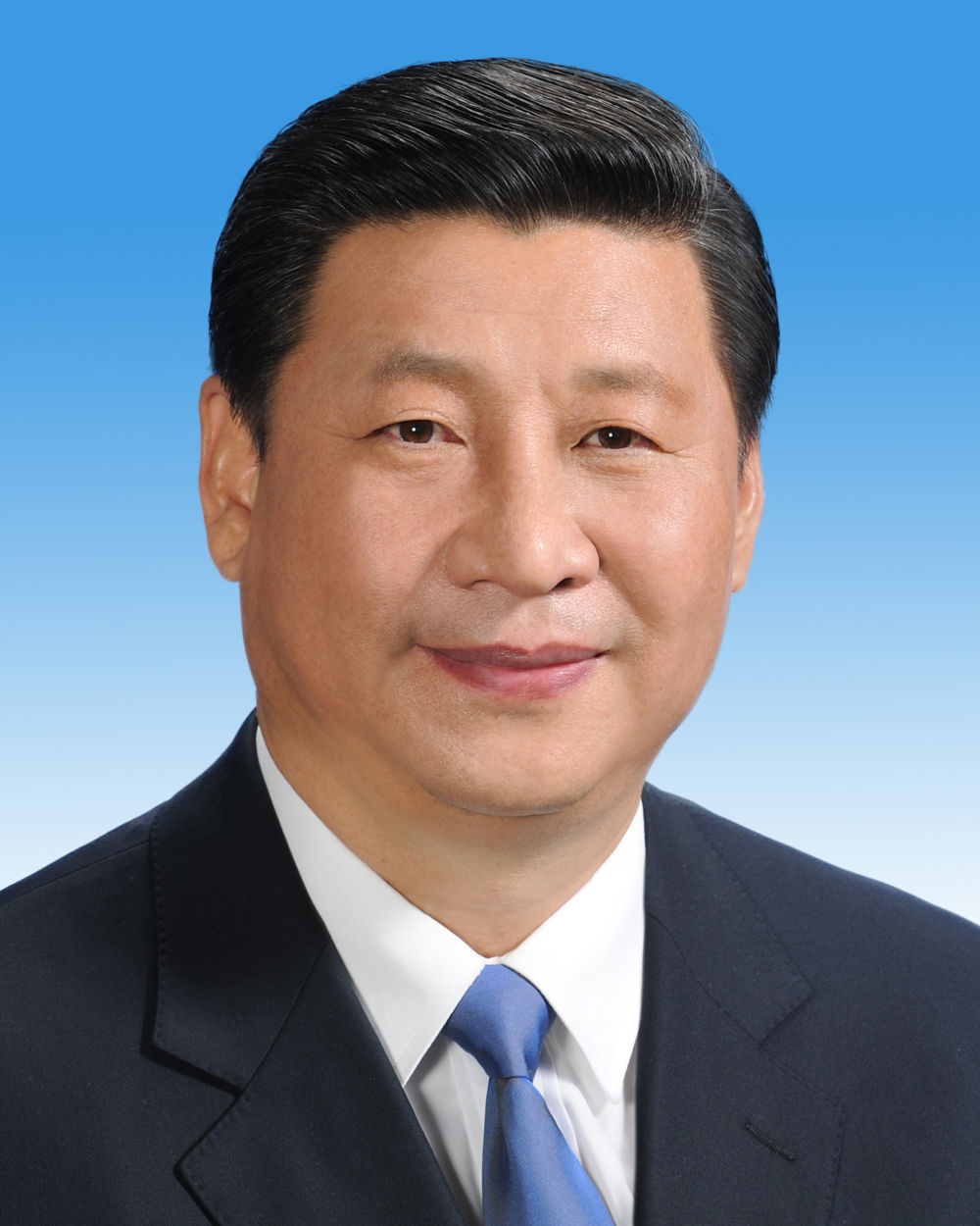 中共二十届中央领导机构成员简历_邵阳头条网