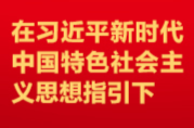 开辟马克思主义中国化时代化新境界——湖南省出席党的二十大代表热议党的二十大报告之十