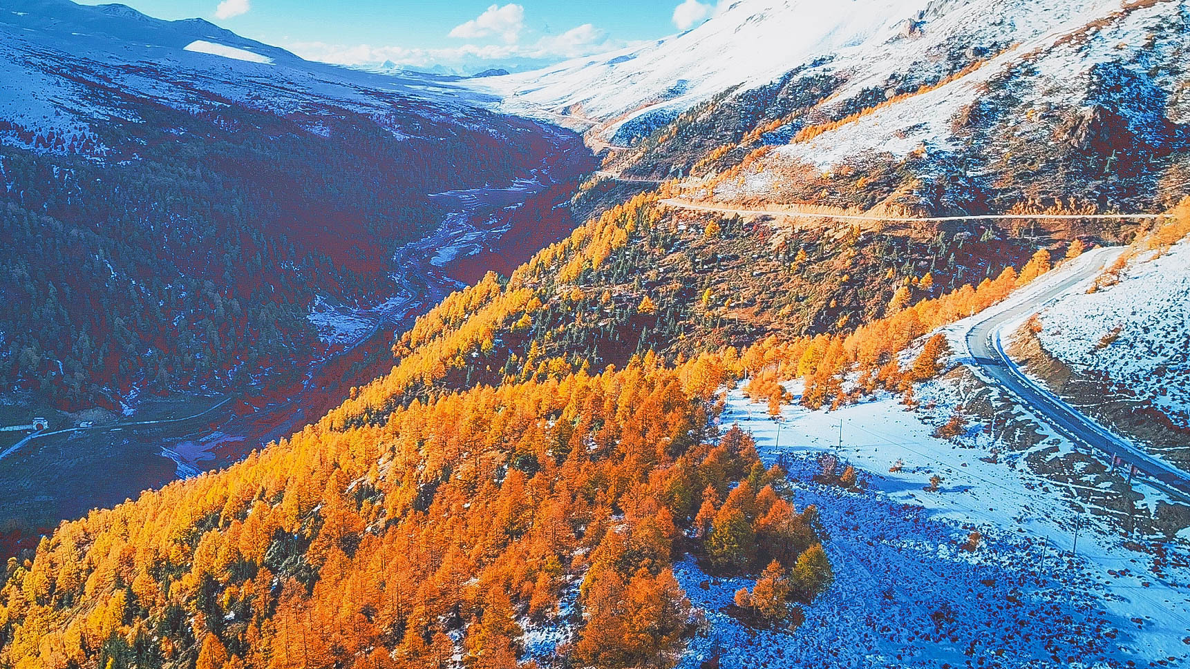 秋冬美景惊艳同框云南白马雪山遇初雪