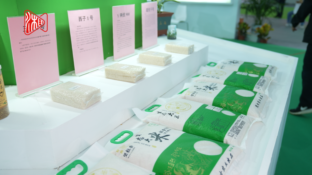 农博会小课堂② | 水稻背后的“大学问”，你知道多少？