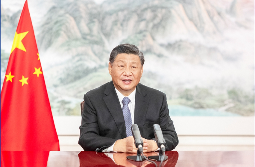 保护湿地，习近平主席提出的这一全球行动为何如此重要？