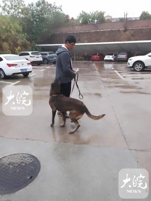 15岁高中生失联事件提级调查！民间团体搜救犬校内发现3处可疑点_邵阳头条网