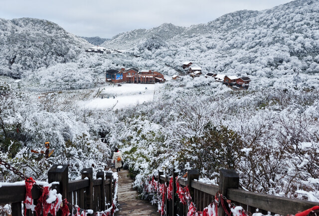 重庆南川迎初雪