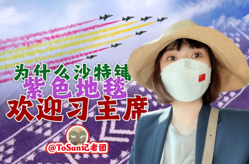 时政Vlog丨为什么沙特铺紫色地毯欢迎习主席？
