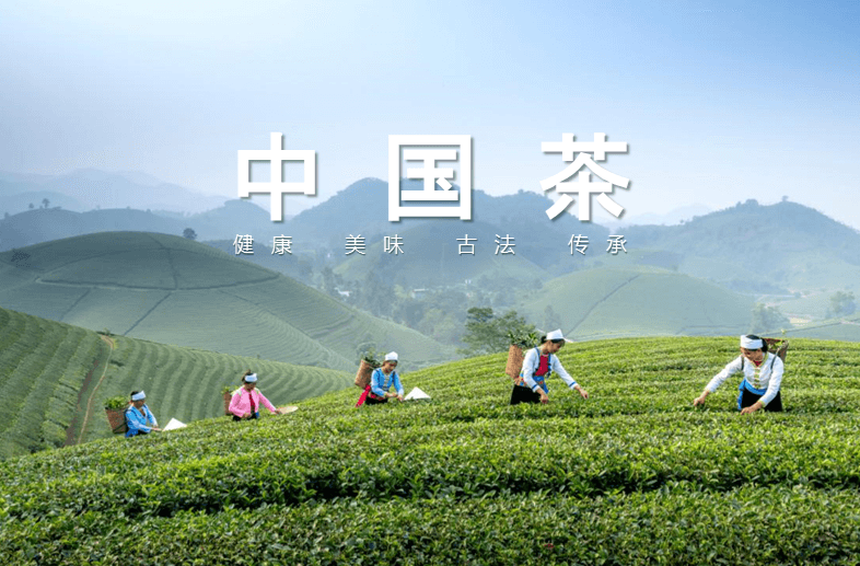以旅游方式打开中国茶多彩画卷——茶旅融合发展系列报道之一