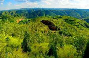 促进人与自然和谐发展 奋力谱写林场发展新篇章