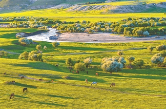 加强草原保护修复 持续提升生态功能