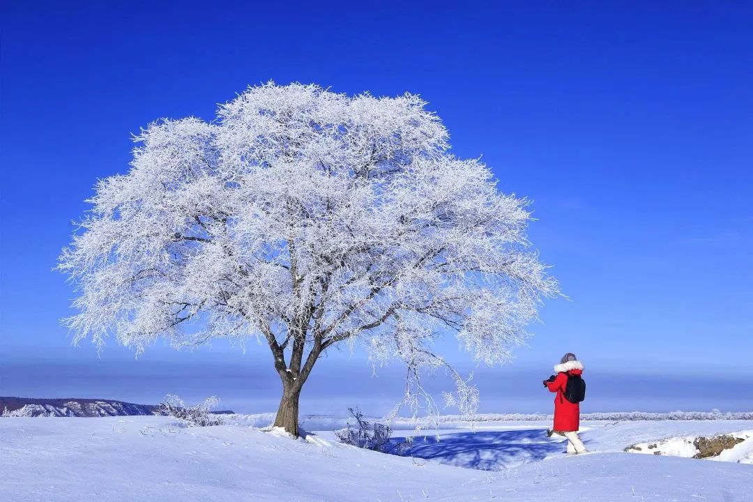 下雪啦 请收下这份雪景拍摄秘籍