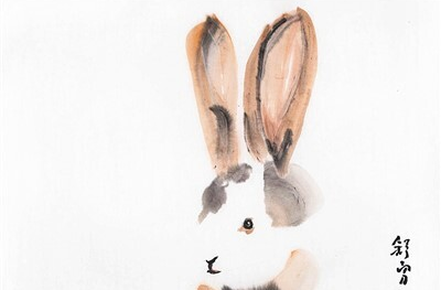 舒勇画兔的“艺术哲学”