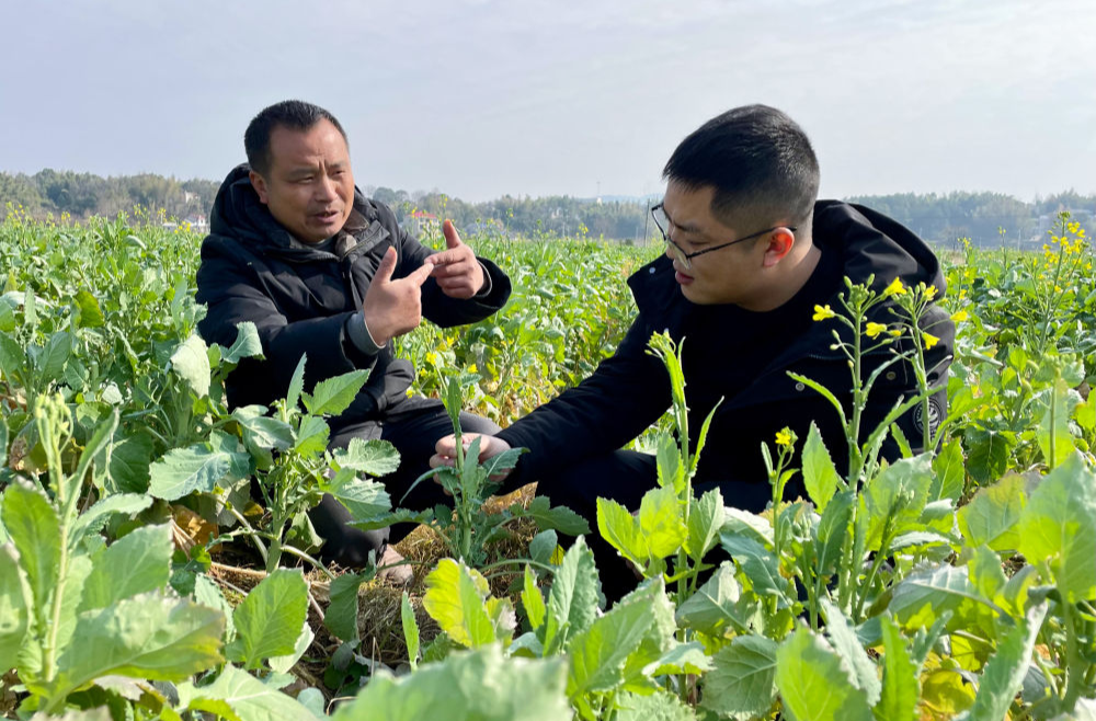 新春走基层丨“冬闲人忙”放手干——湖南新型粮油生产经营主体新春走访见闻