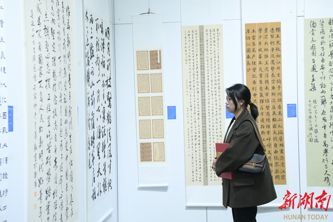 翰墨丹青庆华诞 全省教职工庆祝湖南省教育工会成立70周年书法篆刻作品展开展 - 基层动态 - 新湖南