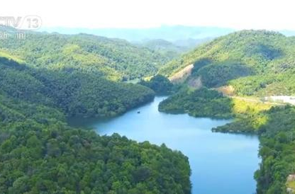 澧县林长制让北民湖湿地重获生机