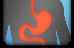 胃肠道疾病研究重大突破 具有免疫系统的类器官创建